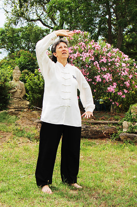 Cours de Qi Gong à Saint Savin et Bourgoin Jallieu Particuliers et Entreprises Nadine Barrat